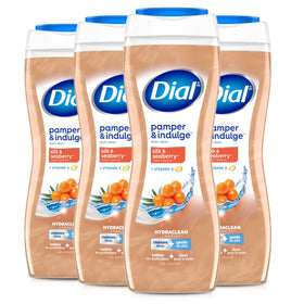 Dial Body Wash Silk & Seaberry front view 16 fl oz