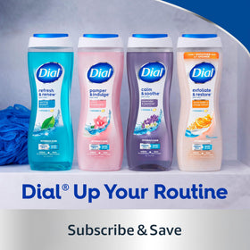 Dial Men 3-in-1 Body Wash bottle with aloe scent description