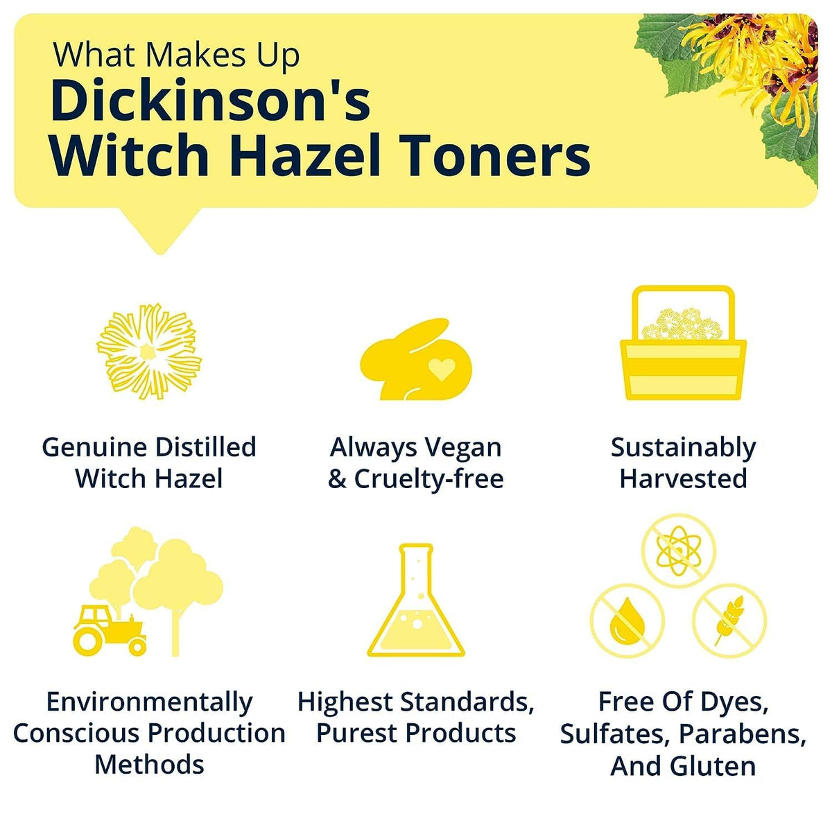 Dickinson's Witch Hazel Hydrating Toner with Rosewater packaging