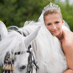 Didder Silver Crystal Tiara Crown Headband with a floral background