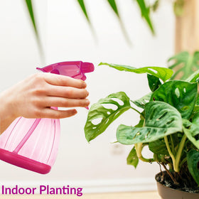 DilaBee 12oz spray bottle in use for plant care