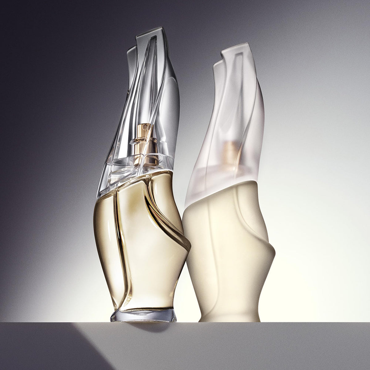 Donna Karan Cashmere Mist Eau de Toilette Set packaging