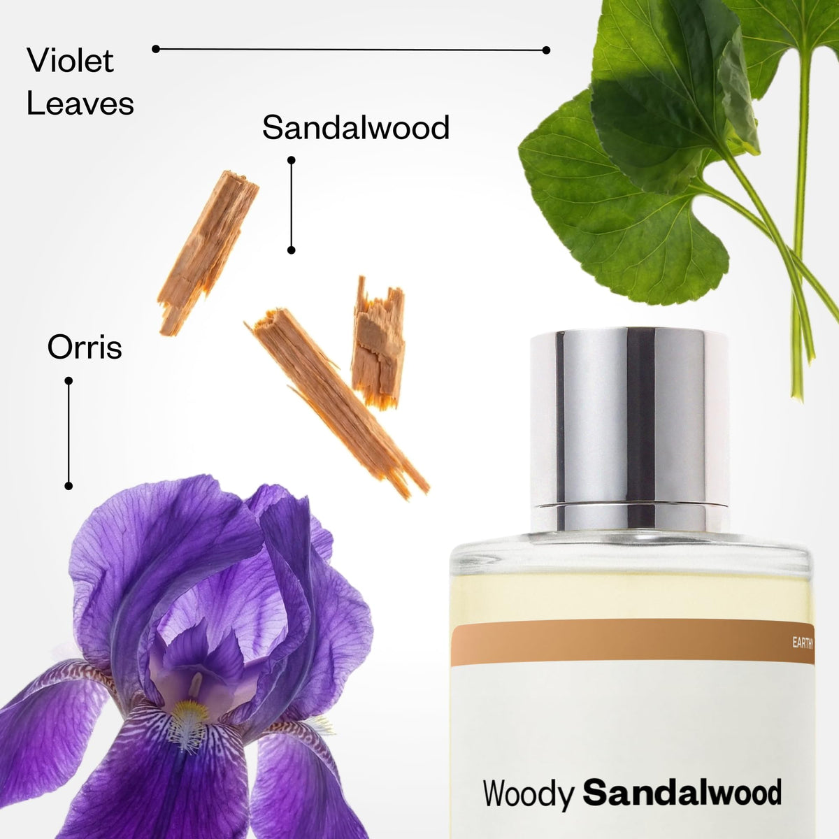 Dossier Woody Sandalwood Eau de Parfum close-up of label