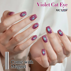 Double Rhythm Cat Eye Gel Polish bottle with magnet for nail art