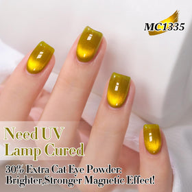 Double Rhythm Cat Eye Gel Polish with magnet tool