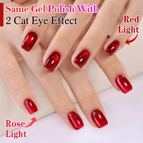 Double Rhythm Cat Eye Gel Polish with various base colours