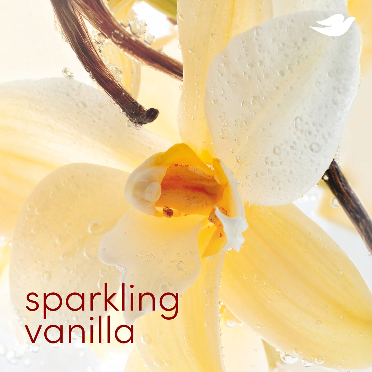 Dove Aluminum Free Deodorant Stick Sparkling Vanilla application