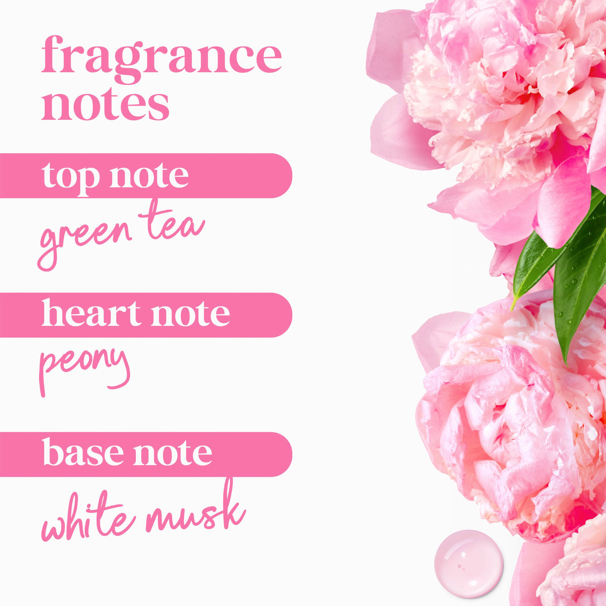 Dove body wash with a rich lather
