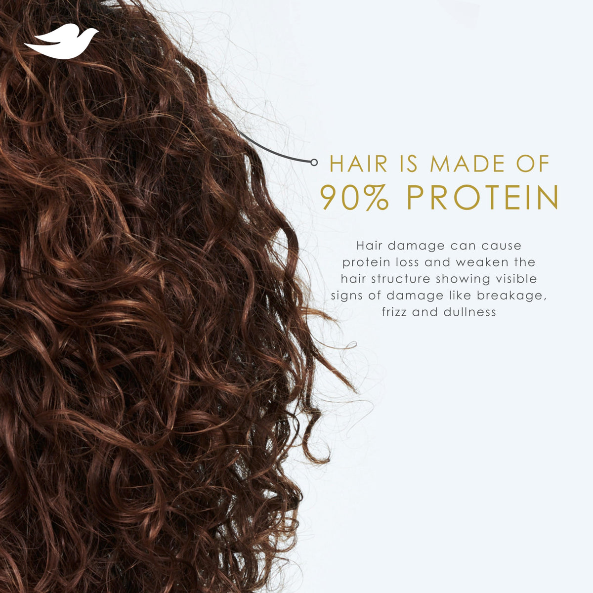 Dove Coconut & Hydration Conditioner with coconut background