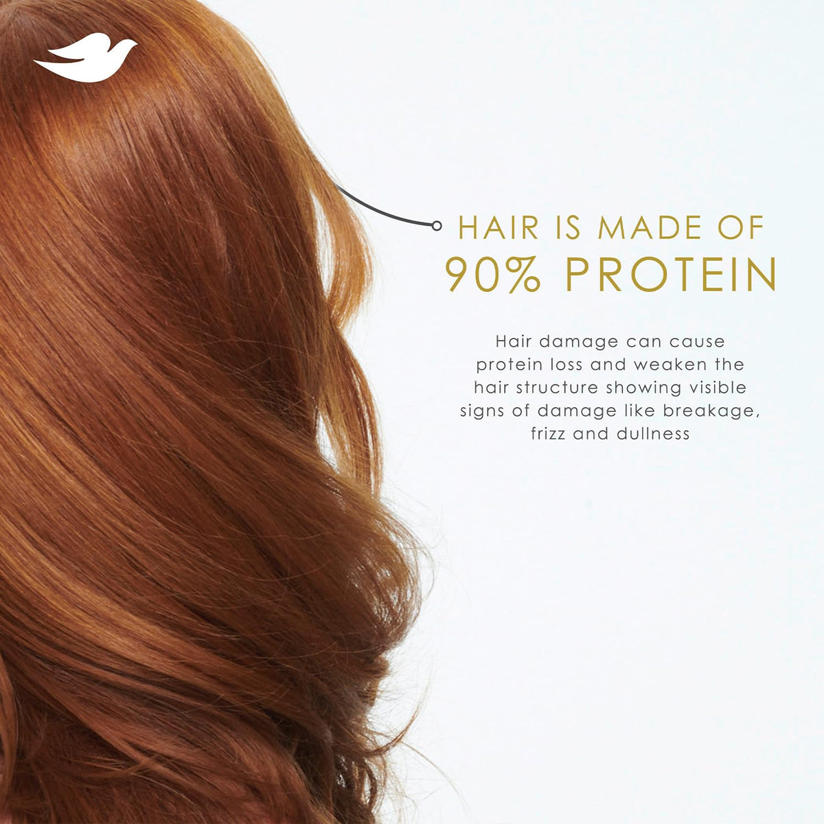 Dove Daily Moisture Shampoo close-up of bottle