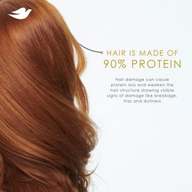 Dove Daily Moisture Shampoo close-up of bottle