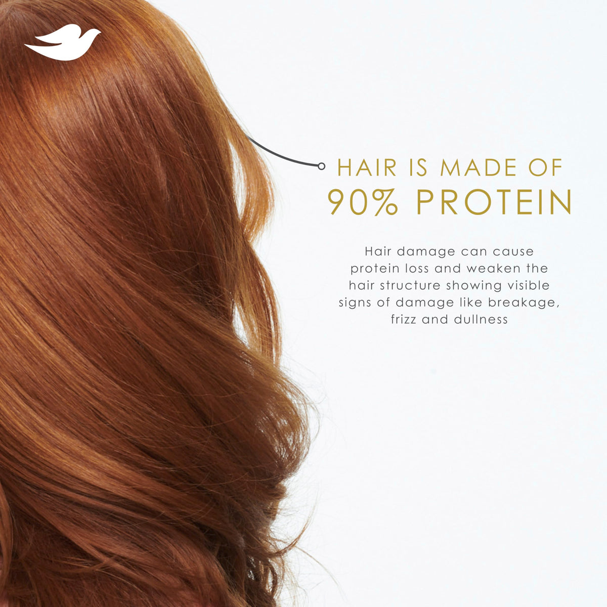 Dove Intensive Repair Shampoo with Dove Conditioner and Mask
