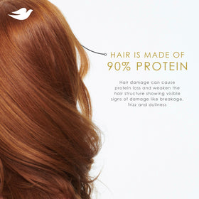 Dove Intensive Repair Shampoo with Dove Conditioner and Mask