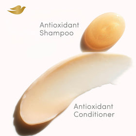 Dove Moisture Combo Set Shampoo pouring into hand