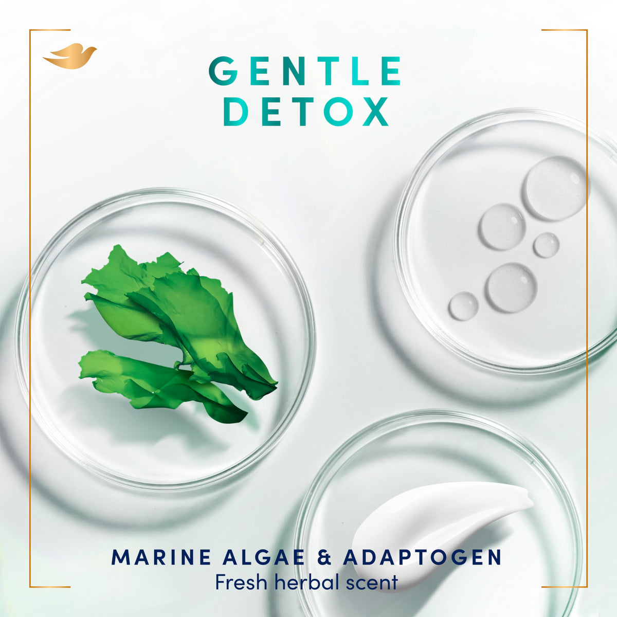 Dove Prebiotic Hand Wash bottle with marine algae detail