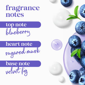 Dove Unwind Body Wash Blueberry & Moon Milk with blueberries