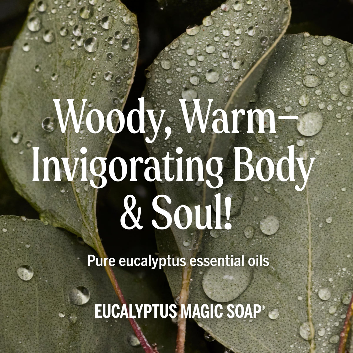 Dr. Bronner's Eucalyptus Pure-Castile Liquid Soap in a bathroom setting