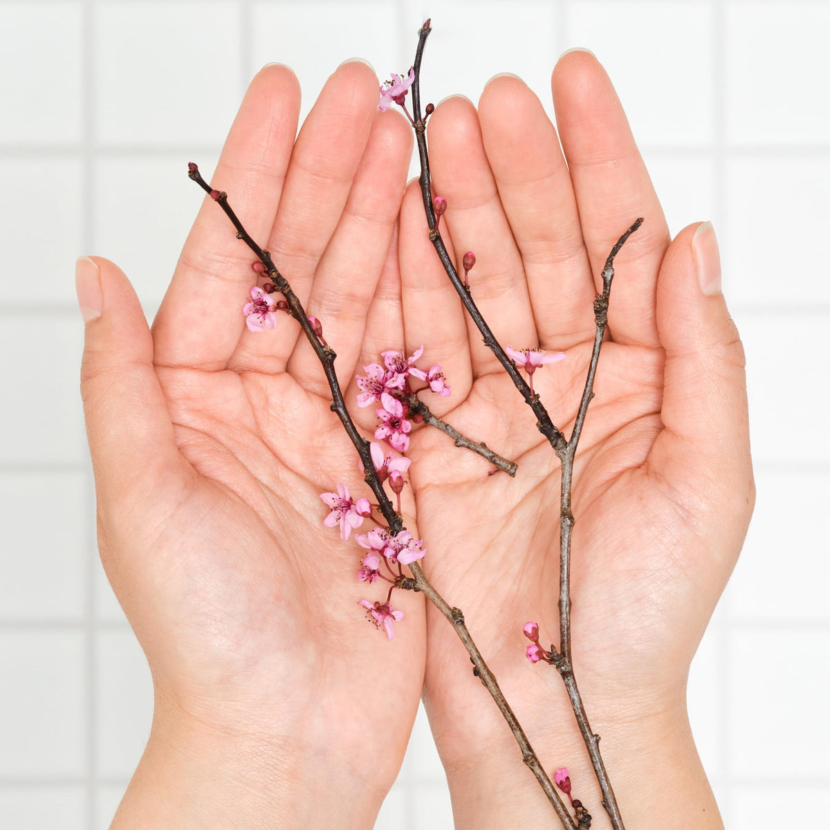 Dr. Bronner's Organic Lip Balm Cherry Blossom lifestyle scene