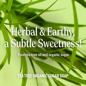 Dr. Bronner's Organic Sugar Soap 64oz Tea Tree with ingredients