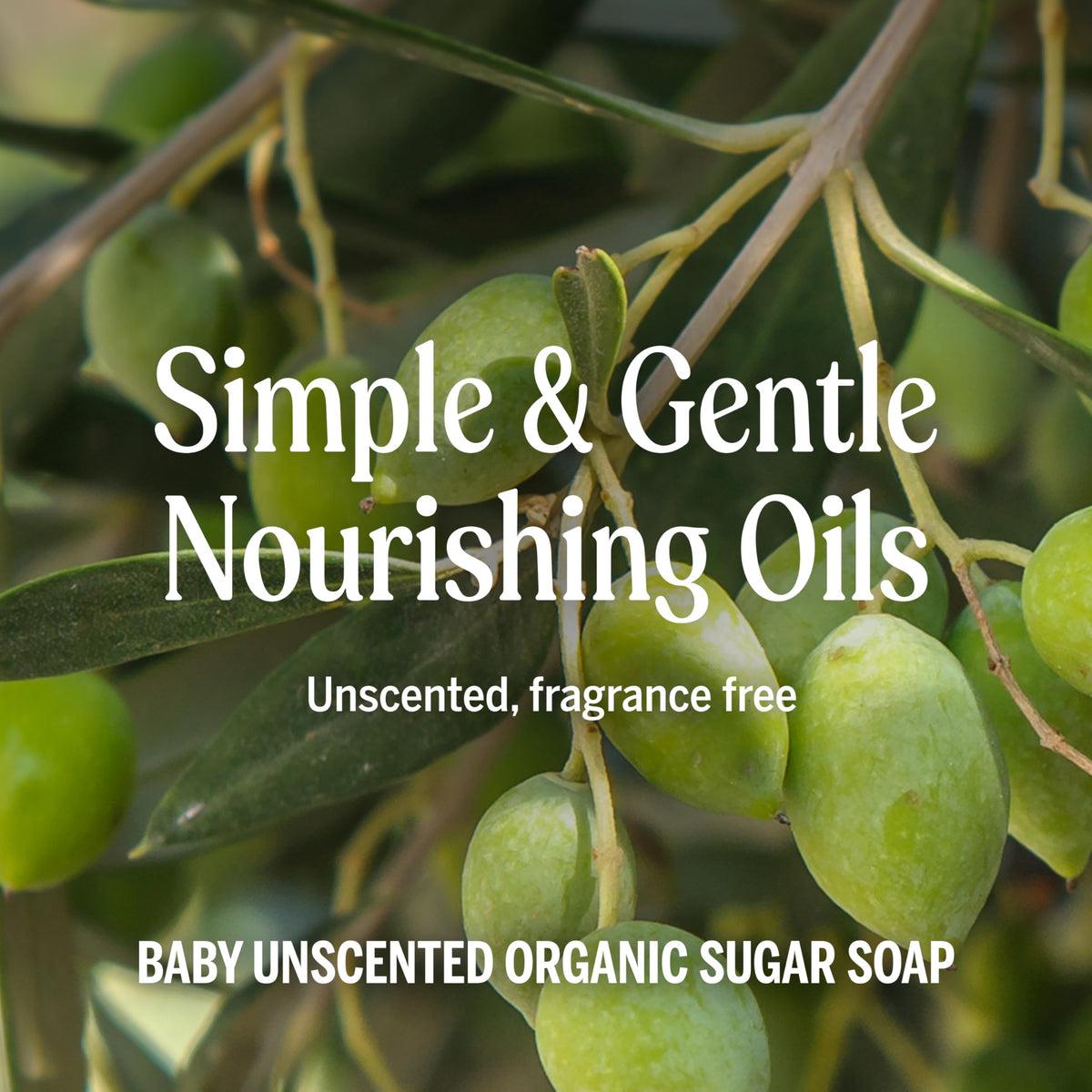 Dr. Bronner's Organic Sugar Soap Baby Unscented in a bathroom setting