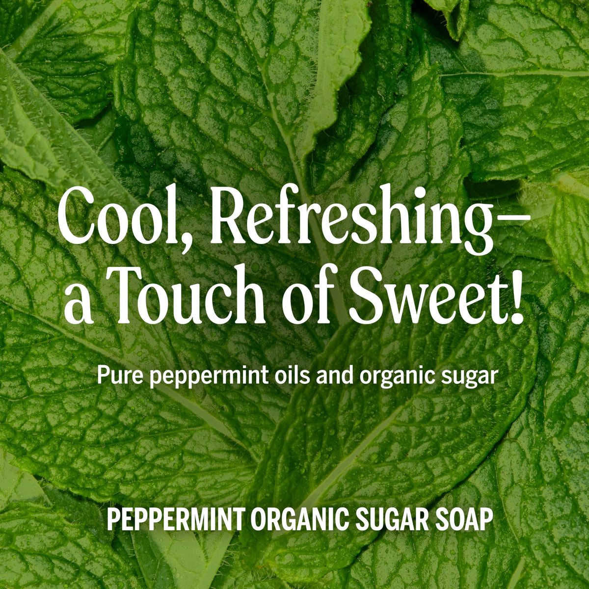 Dr. Bronner's Organic Sugar Soap Lavender label close-up