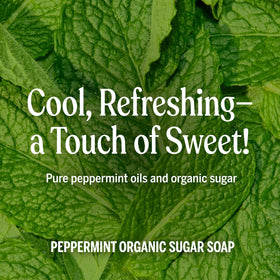 Dr. Bronner's Organic Sugar Soap Lavender label close-up