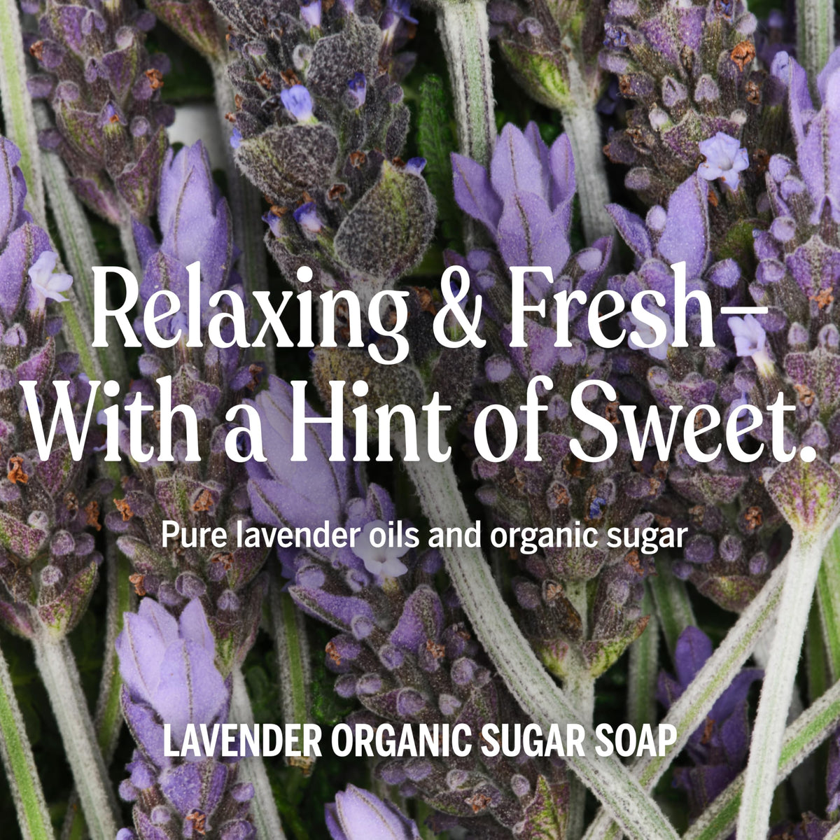Dr. Bronner's Organic Sugar Soap Lavender texture close-up