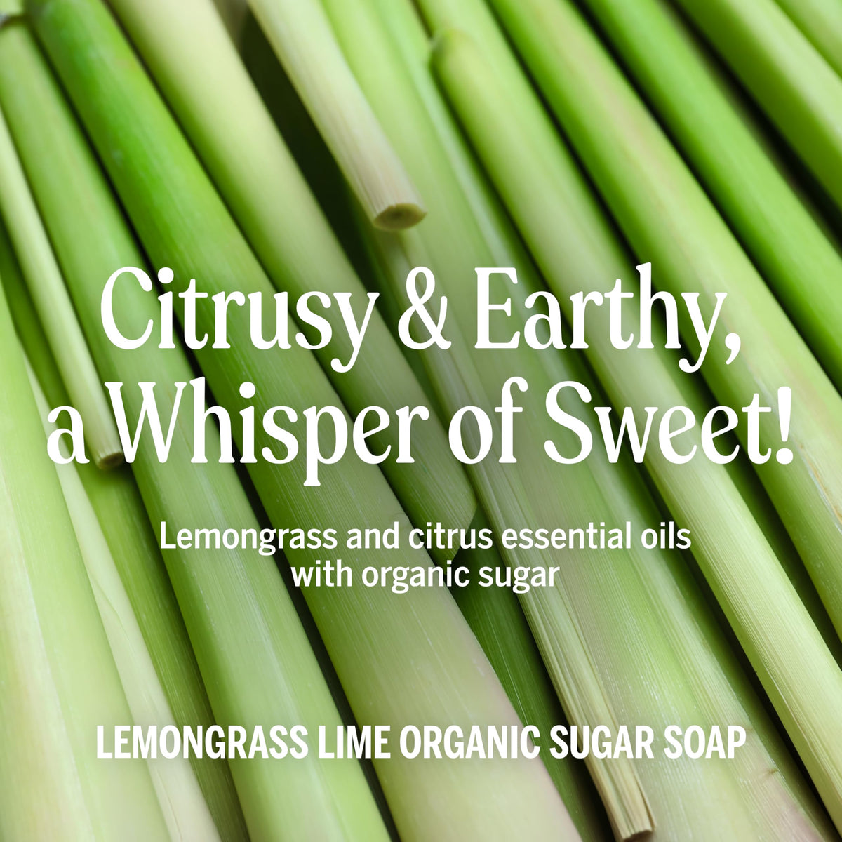 Dr. Bronner's Organic Sugar Soap Lemongrass pouring into hands