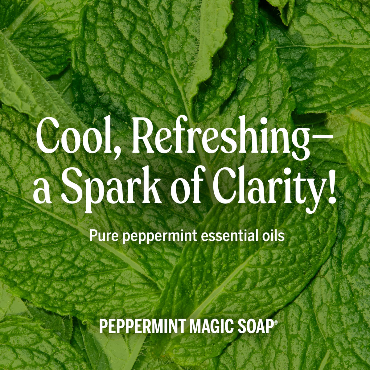 Dr. Bronner's Peppermint Pure-Castile Liquid Soap with bubbles