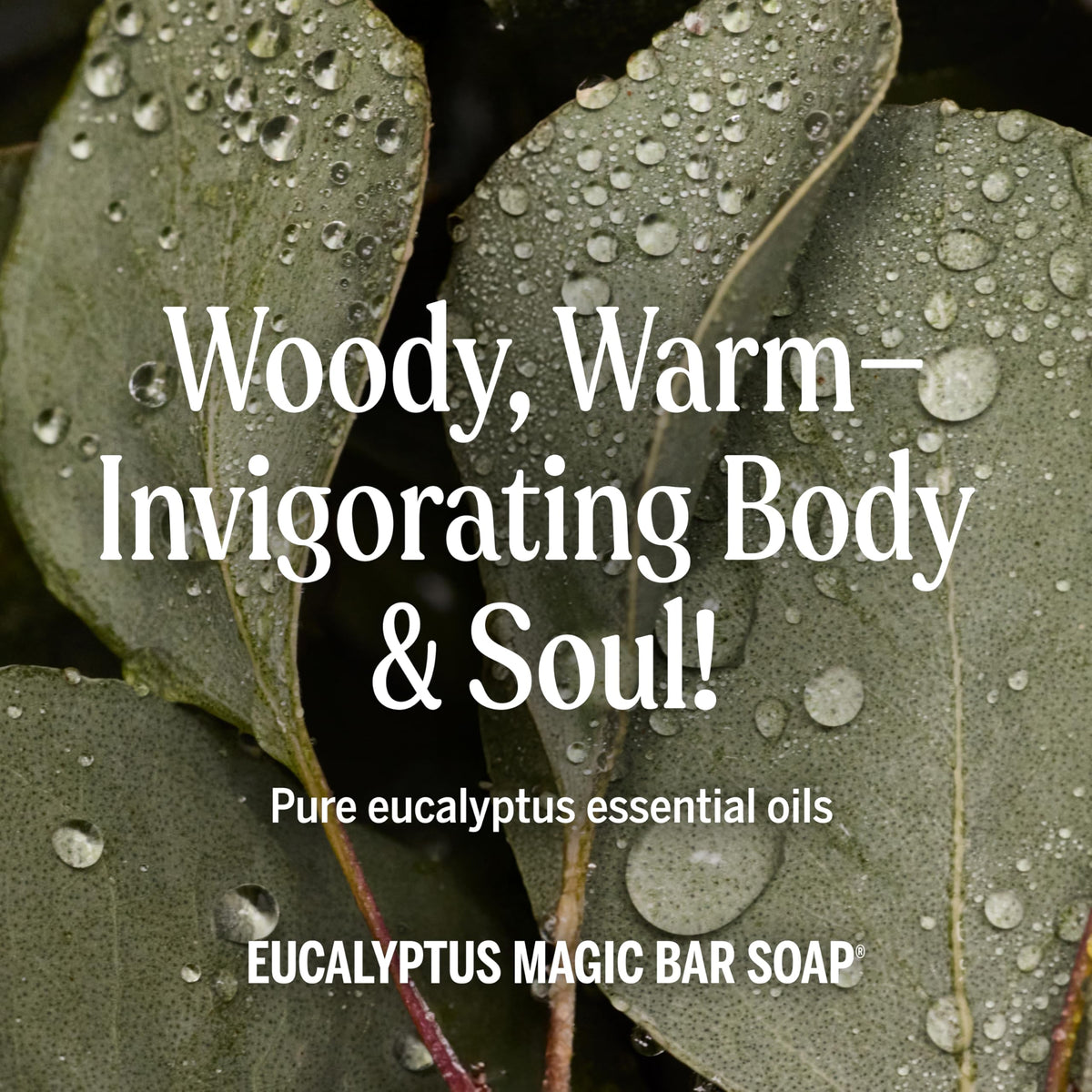 Dr. Bronner's Pure-Castile Magic Bar Soap Eucalyptus 5oz lather in a bowl