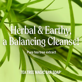 Dr. Bronner's Pure-Castile Magic Bar Soap Tea Tree ingredients list
