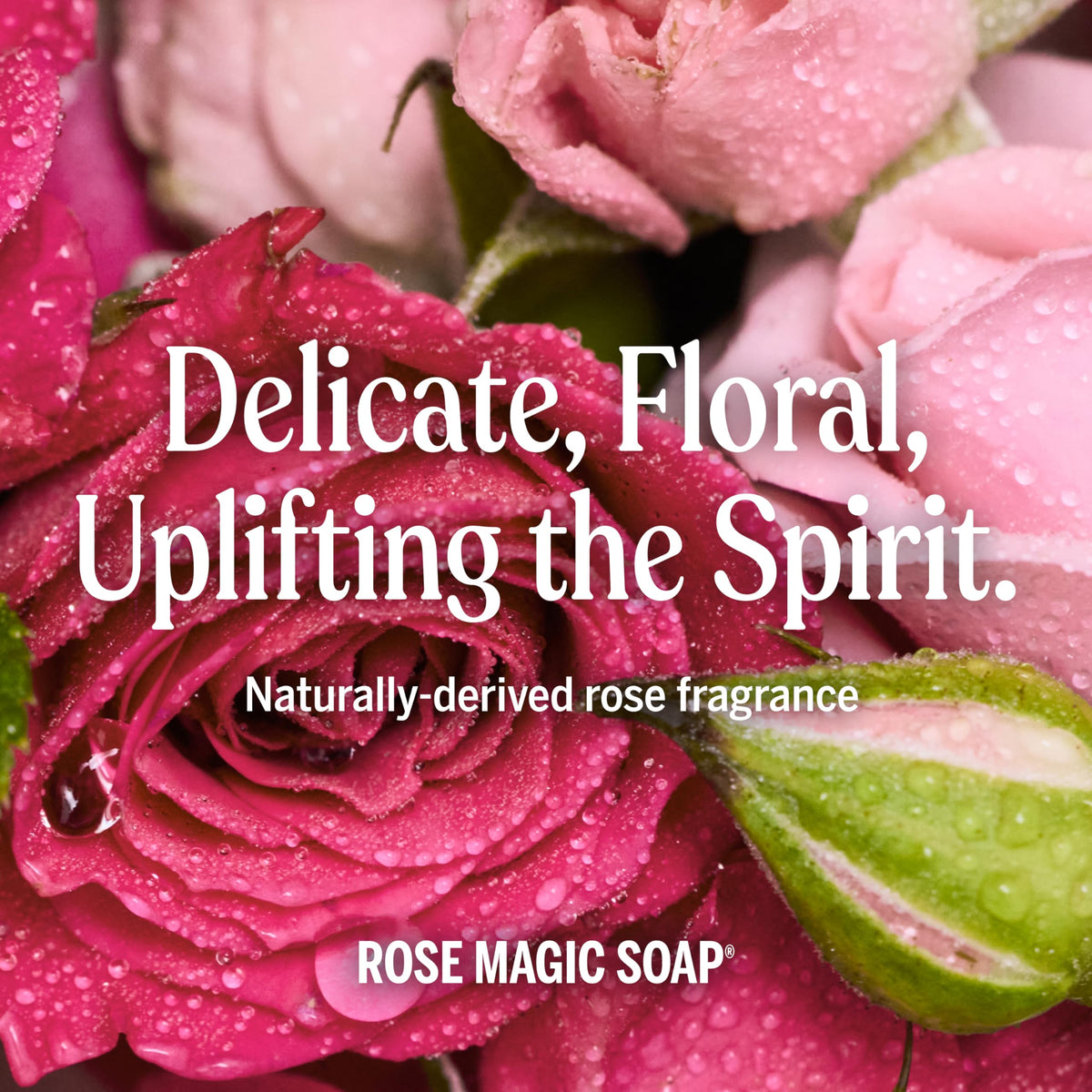 Dr. Bronner's Rose Pure-Castile Liquid Soap in bathroom setting