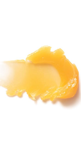 Dr. Hauschka Lip Care Stick displayed with natural ingredients