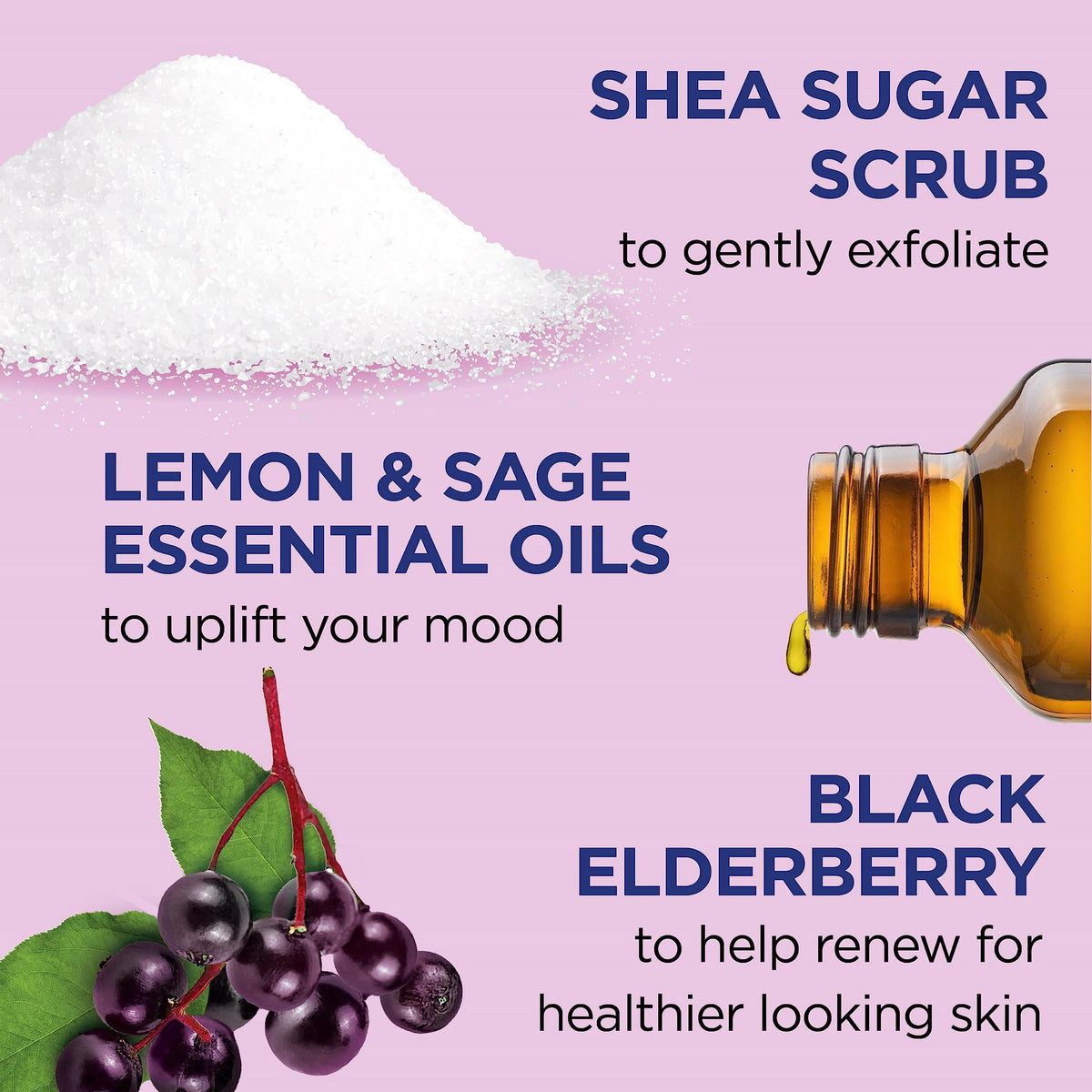 Dr Teal's Shea Sugar Body Scrub Black Elderberry 19 oz back view