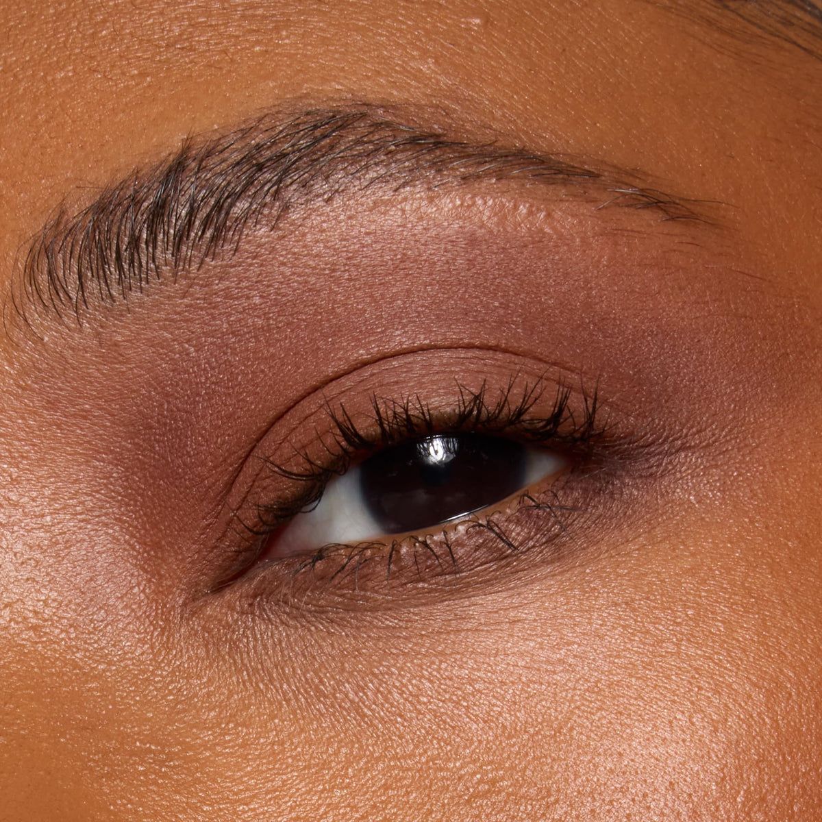 e.l.f. Perfect 10 Eyeshadow Palette Keep It Ethereal with brushes
