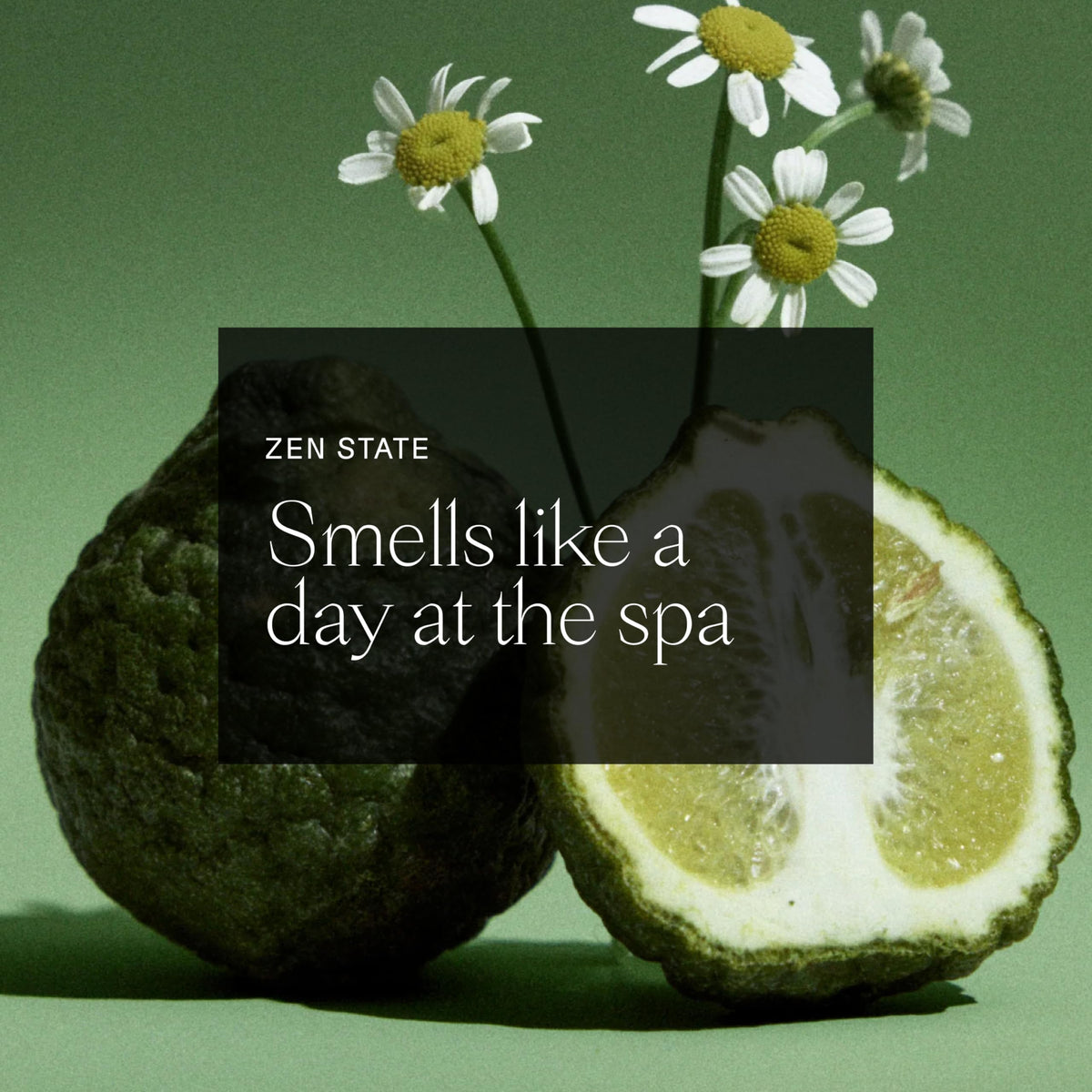 Each & Every Natural Deodorant 2 Pack on a bathroom shelf