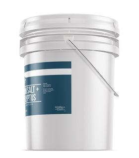 Earthborn Elements Eucalyptus Epsom Salt 5 Gallon Bucket with salt texture close-up