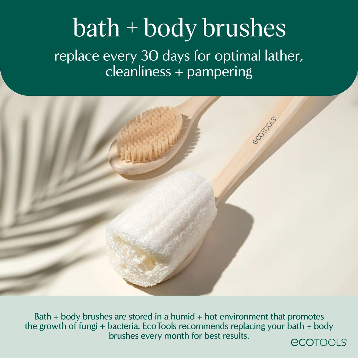 EcoTools Bath Bristle Brush displayed with other bath accessories