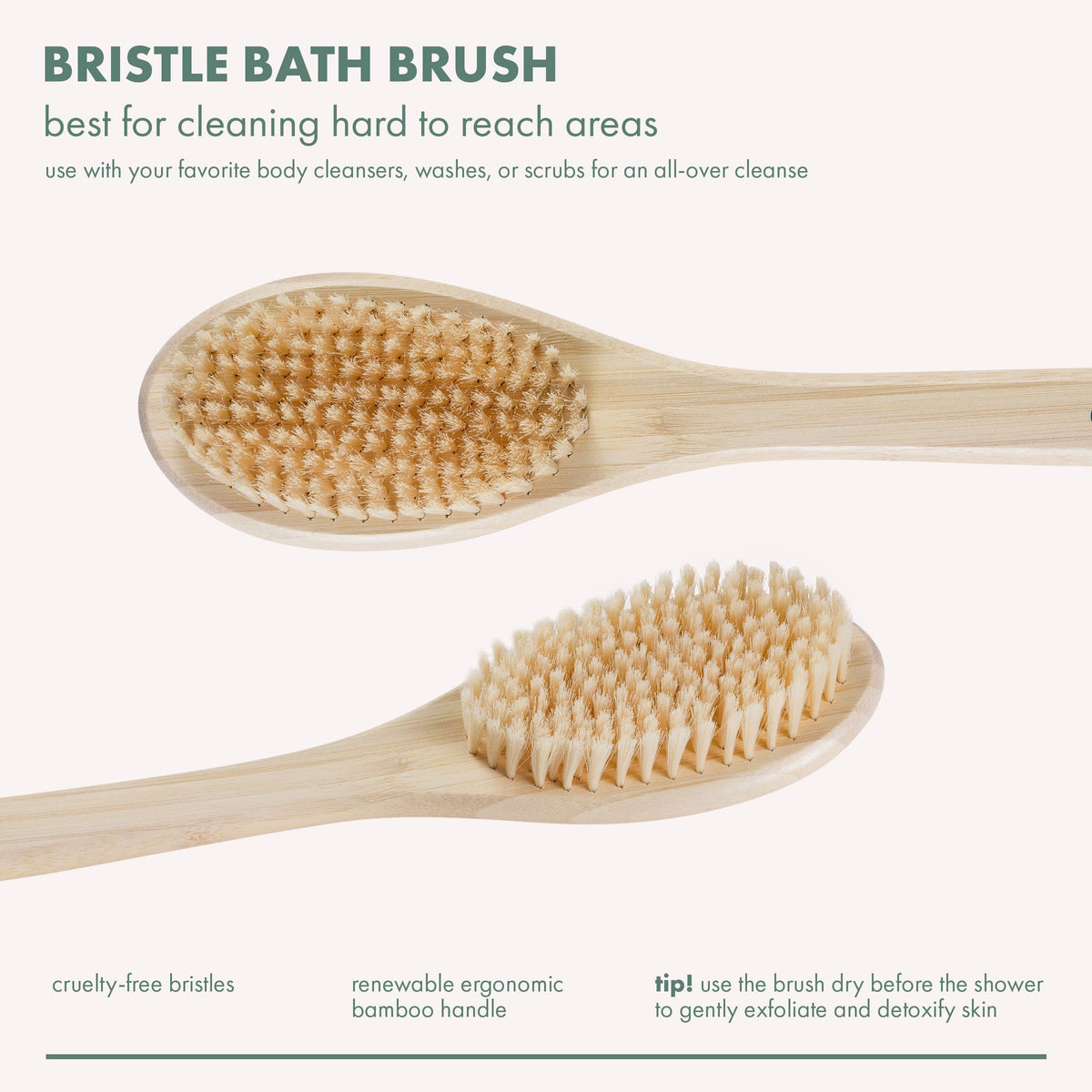 EcoTools Bath Bristle Brush showcasing ergonomic design