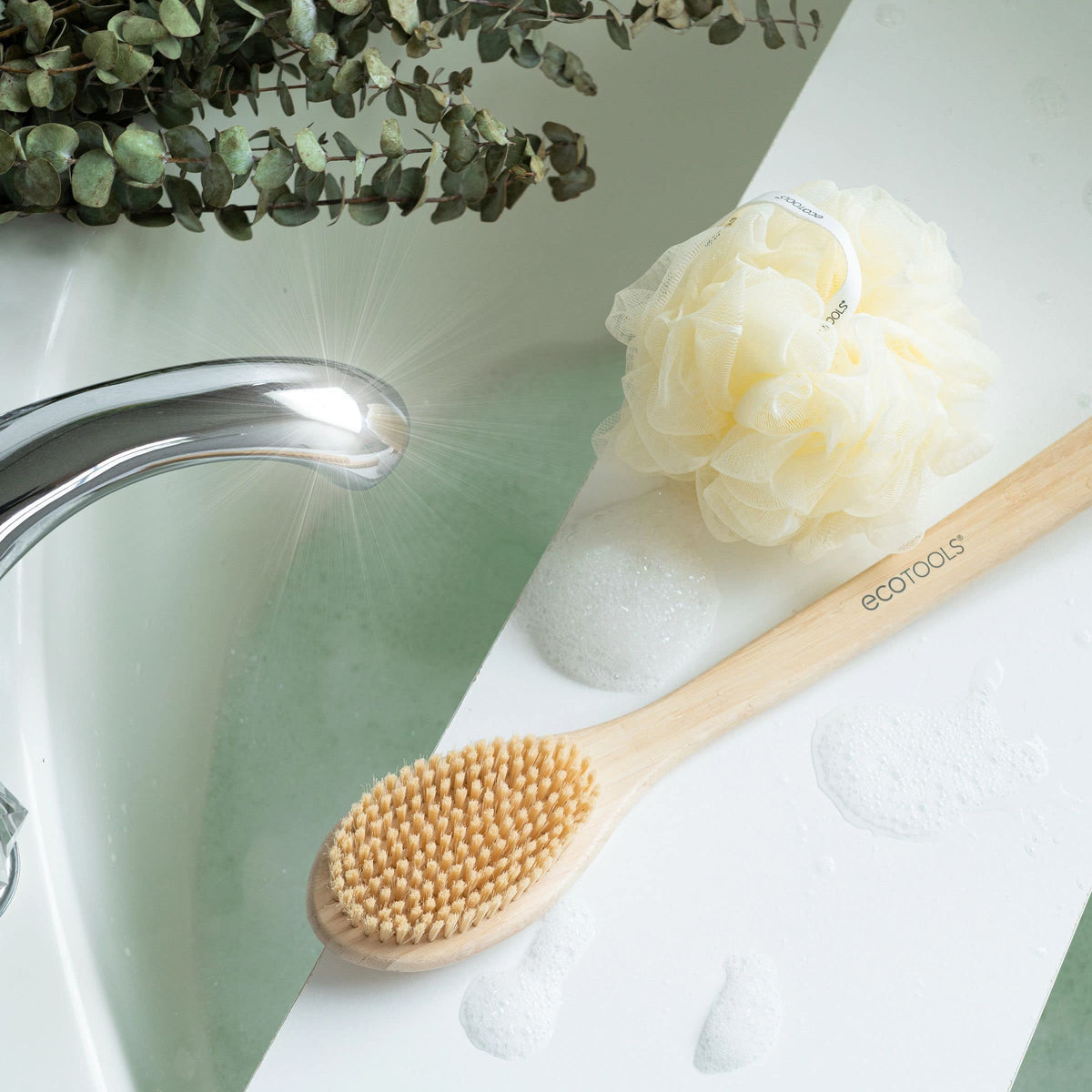 EcoTools Bath Bristle Brush with FSC-certified packaging