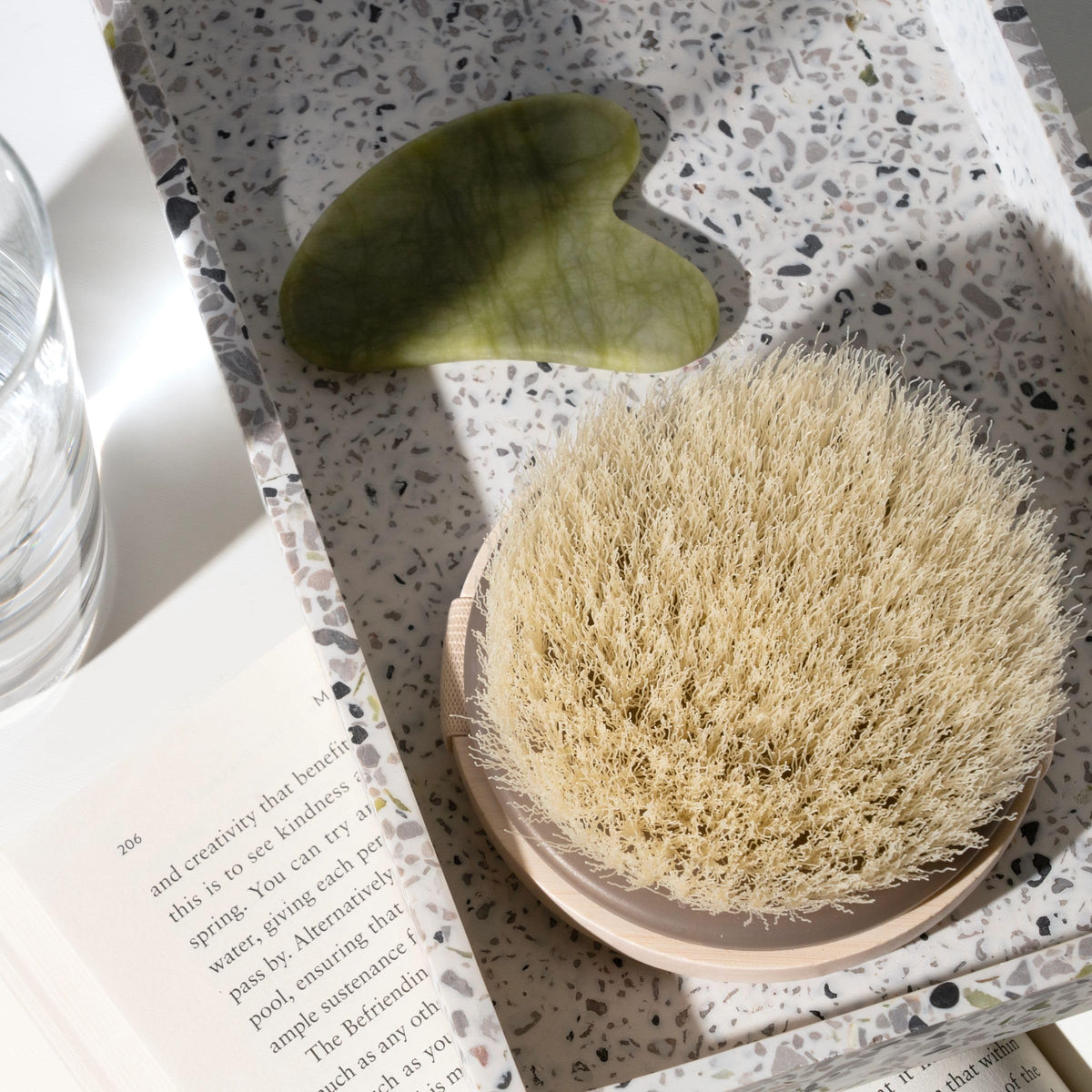 EcoTools Dry Body Brush packaging made from compostable paper
