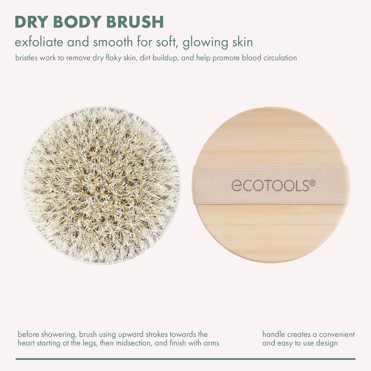 EcoTools Dry Body Brush side view showing bristles