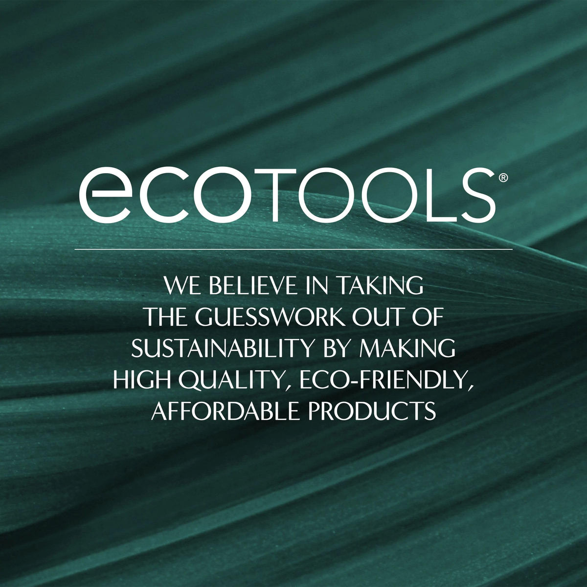 EcoTools Fine Hair Detangler Brush displayed with other EcoTools products