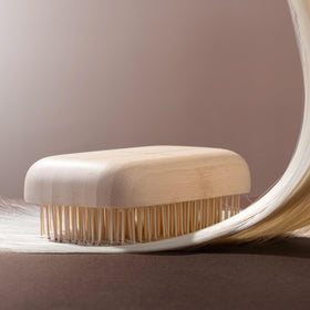 EcoTools Travel Detangler Hairbrush with packaging made from compostable paper