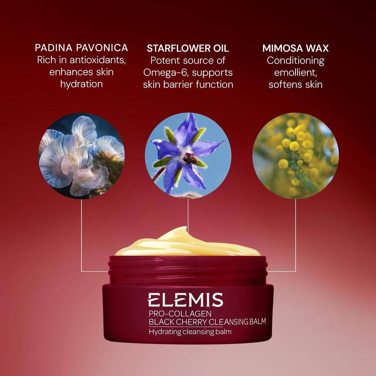 ELEMIS Pro-Collagen Black Cherry Cleansing Balm ingredients list