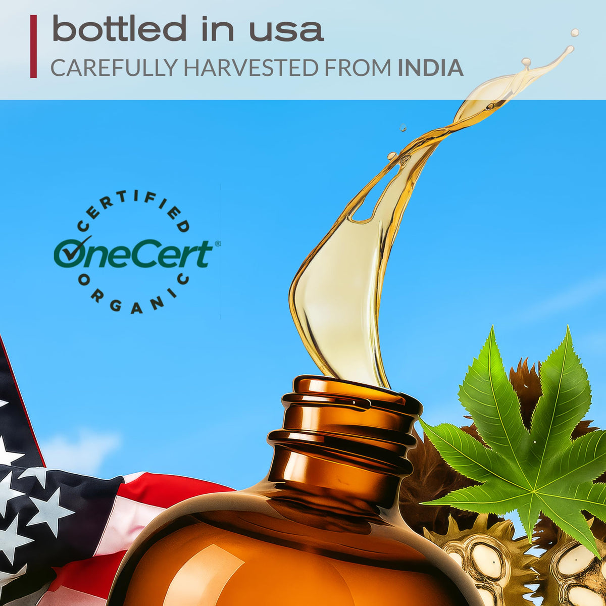 Ella & Eden Organic Castor Oil packaging details