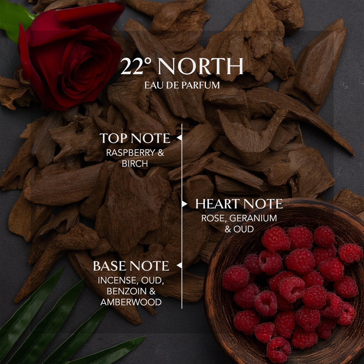 EMBAROUGE 22° North Eau De Parfum lifestyle scene