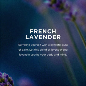 EO French Lavender Body Oil 8 Ounce bottle with pump