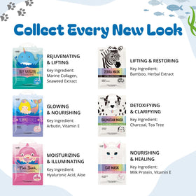 Epielle Character Face Mask packaging showing all designs