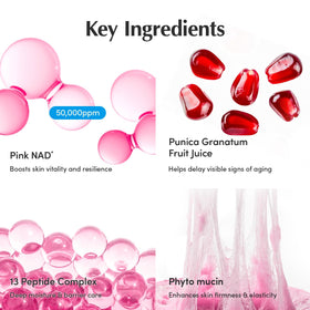 EQQUALBERRY NAD+ Peptide Cream being applied to neck and décolleté